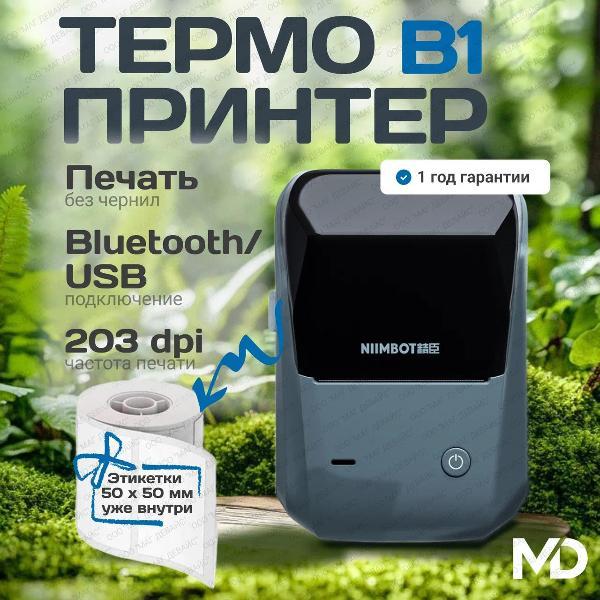 Принтер этикеток NIIMBOT B1 Lake blue фото