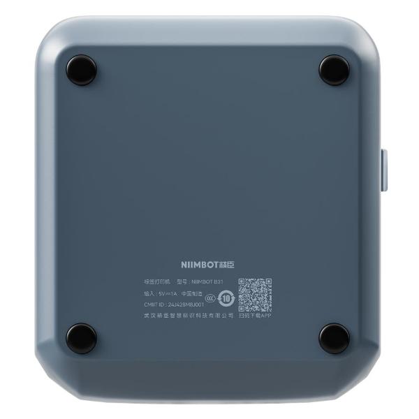 Принтер этикеток NIIMBOT B31 голубое озеро
