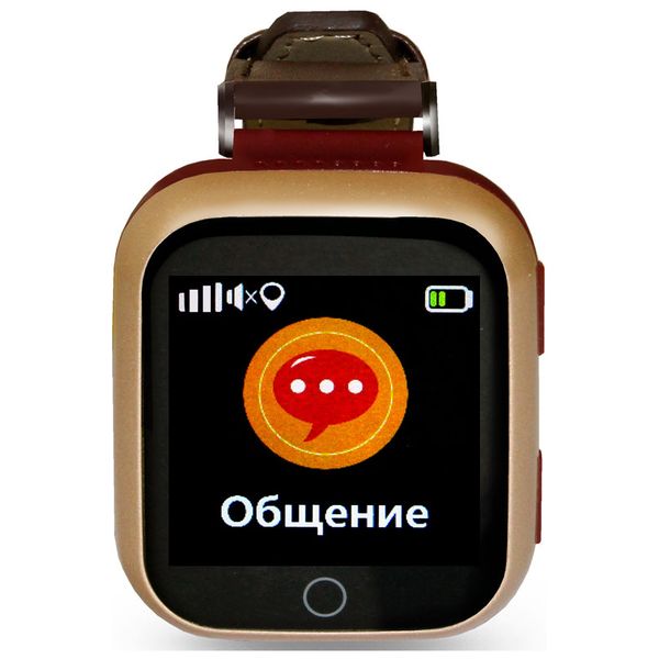 Смарт-часы Ginzzu GZ-521 коричневый