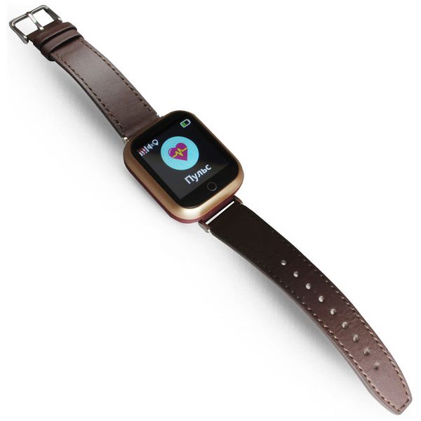 Смарт-часы Ginzzu GZ-521 коричневый