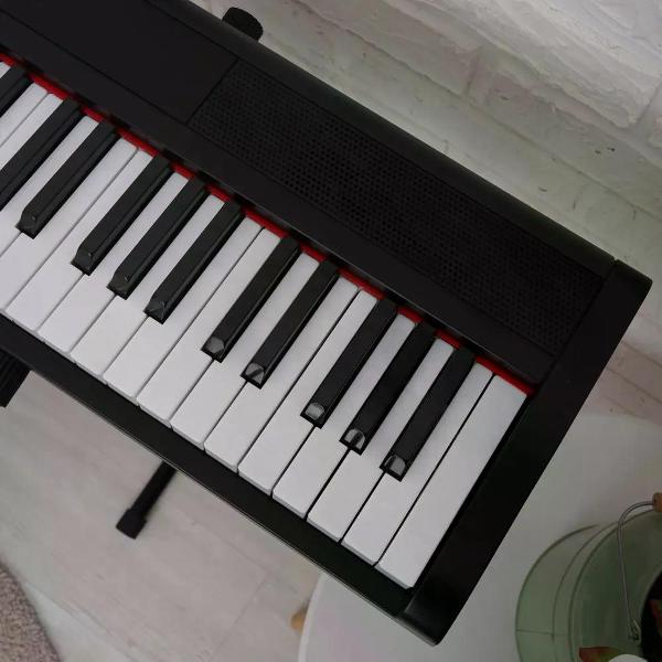 Цифровое пианино ON Music Maestro Pro черный