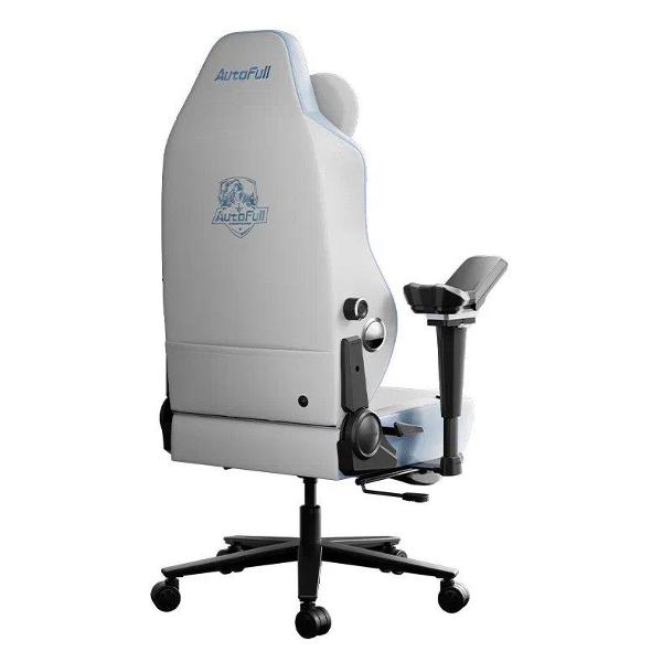 Кресло компьютерное игровое Autofull M6 PRO AFM602WMS