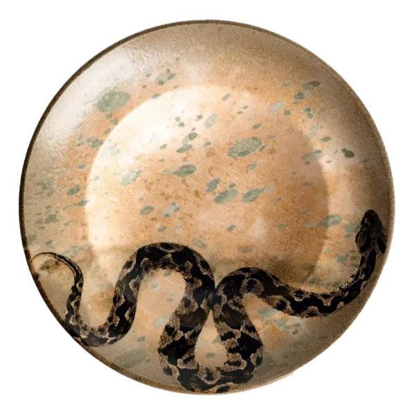 Тарелка столовая BONNA Savanna 27см