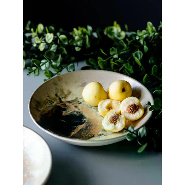 Тарелка столовая BONNA Savanna 23 см