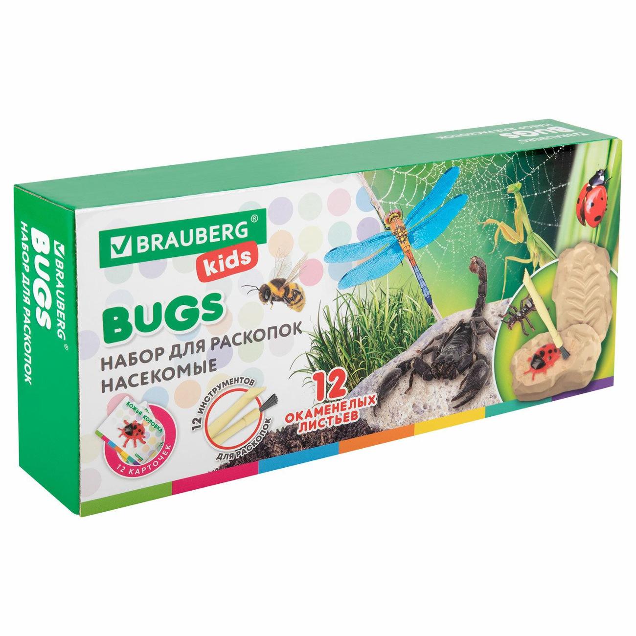 Набор для раскопок Brauberg 665127