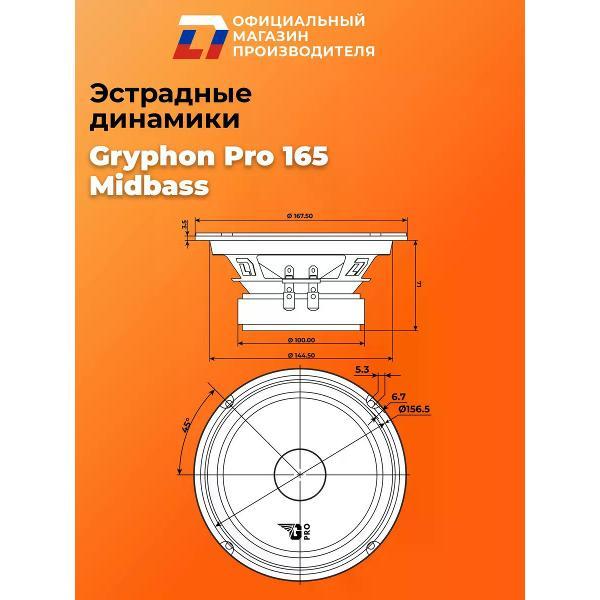 Автомобильные колонки DL Audio Gryphon Pro 165 MidBass