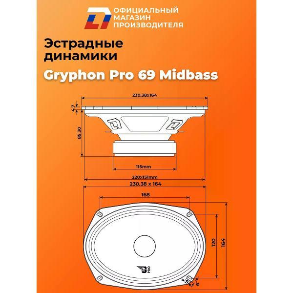 Автомобильные колонки DL Audio Gryphon Pro 69 Midbass