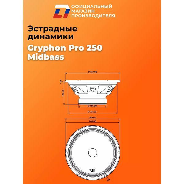 Автомобильные колонки DL Audio Gryphon Pro 250 Midbass
