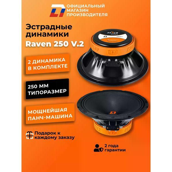 Автомобильные колонки DL Audio Raven 250 V.2 фото