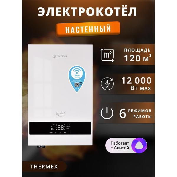 Электрический котел Thermex Boss 12 Wi-Fi белый