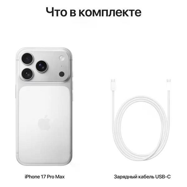 Смартфон Apple iPhone 17 Pro 256GB Silver (без RuStore)