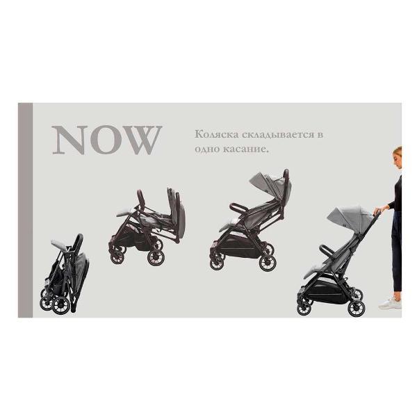 Коляска детская Inglesina Now Snap grey AG84P0SNGRU