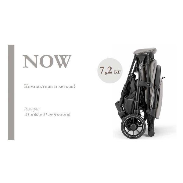 Коляска детская Inglesina Now Snap grey AG84P0SNGRU