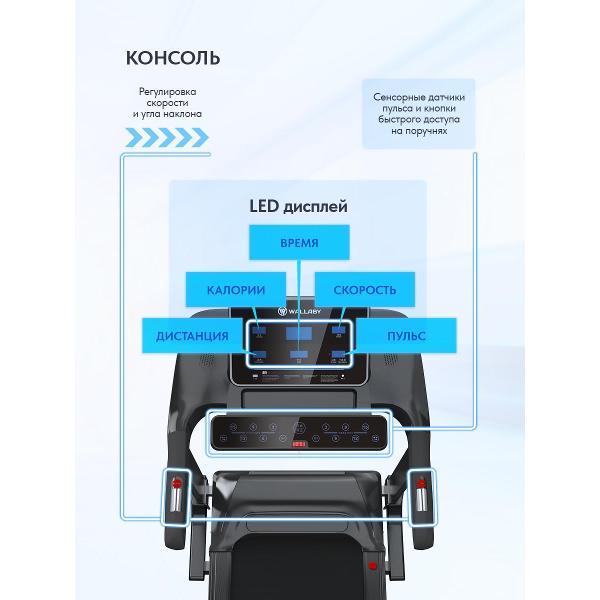 Беговая дорожка Wallaby TS400