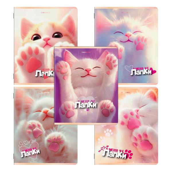 Тетрадь Brauberg ДЭК 48л 5шт ЛАПКИ BRG