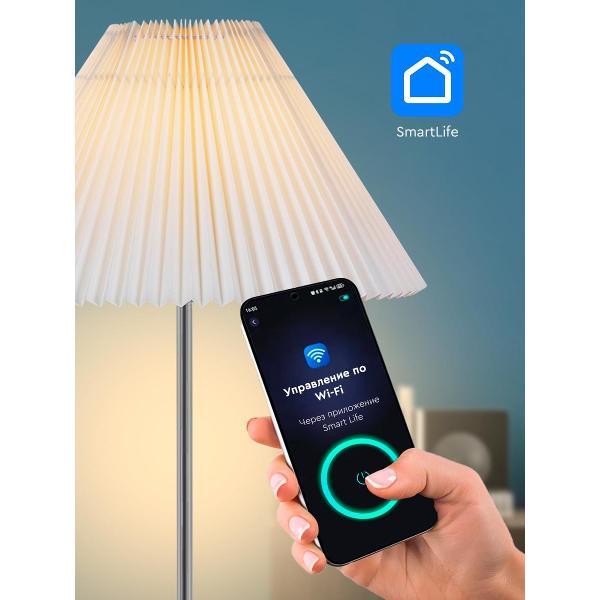 Умный светильник Zagurski 12030-0.6-01B WH