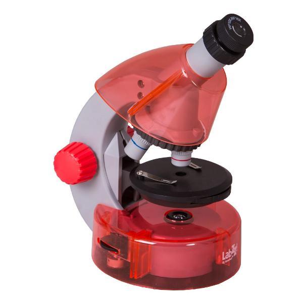 Микроскоп для школьников Levenhuk LabZZ M101 Orange