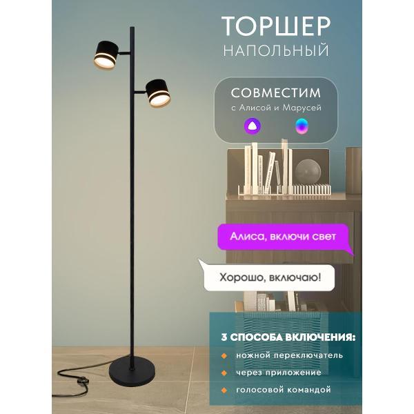 Умный светильник Zagurski ЛучиУюта 53001-0.6-002LD GX53 BK