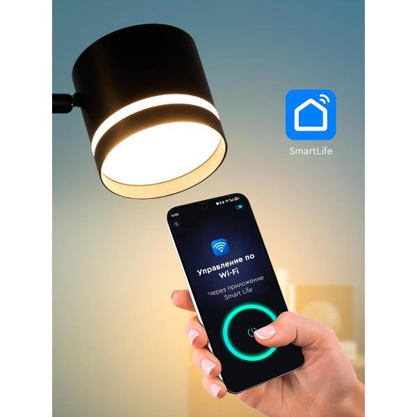 Умный светильник Zagurski ЛучиУюта 53001-0.6-002LD GX53 BK