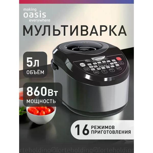 Мультиварка Oasis MC-16E фото