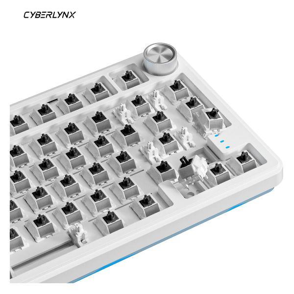 Клавиатура беспроводная CYBERLYNX RX75_Pro Mute_switch