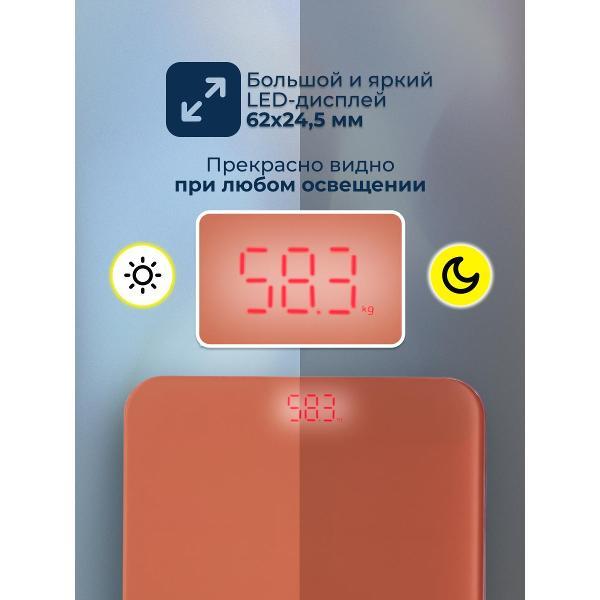 Весы напольные электронные EVMEDIX BS-EV31C