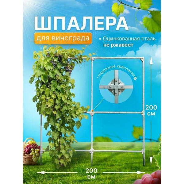 Арка садовая Дружба для винограда из оцинкованной стали 3015729965