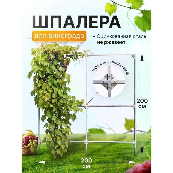 Арка садовая Дружба для винограда из оцинкованной стали 3015729965