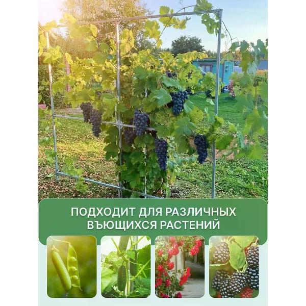 Арка садовая Дружба для винограда из оцинкованной стали 3015729965