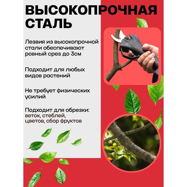 Секатор WJB аккумуляторный садовый с 2 АКБ