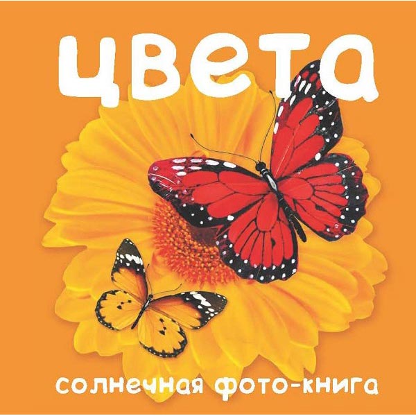Книга для детей Clever Цвета.Солнечная фото-книга
