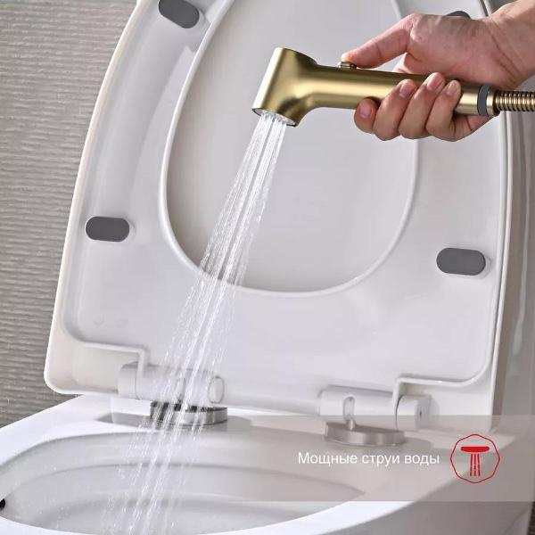 Гигиенический душ Raglo R03.52.03