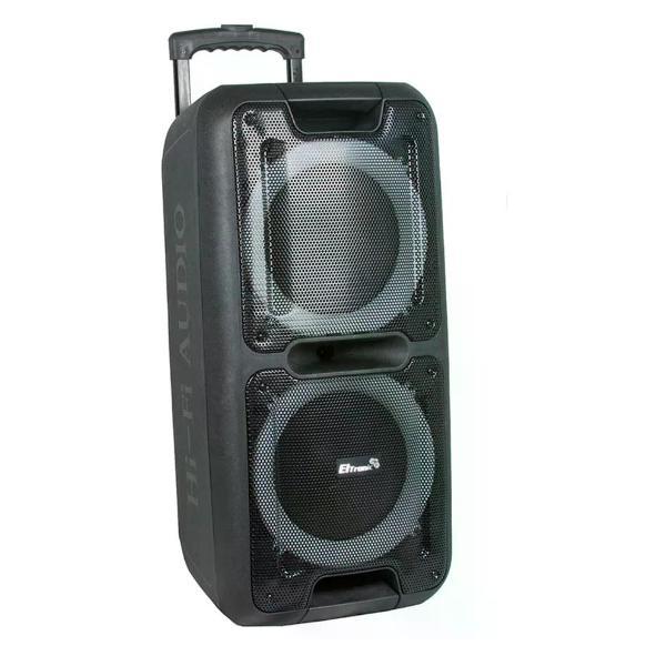 Музыкальная система MIDI Eltronic (20-14) Dance Box 300