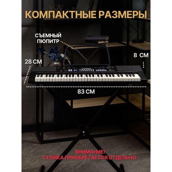 Синтезатор MusicHall Fantasia черный