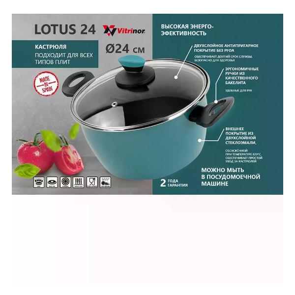 Кастрюля Vitrinor Lotus 6 л 24 см с крышкой фото