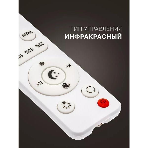 Универсальный пульт Ritter 51932 8