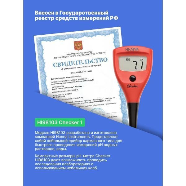 pH-метр Hanna Instruments HI98103