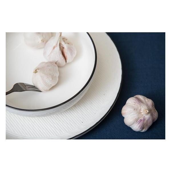 Набор тарелок Liberty Jones Contour, 26 см, 2 шт.