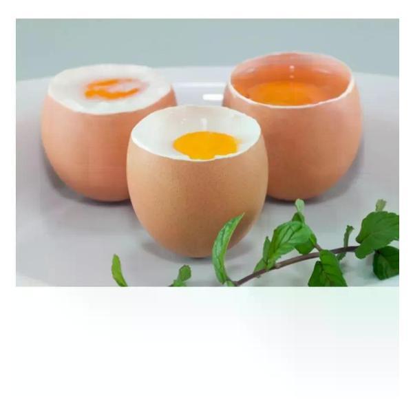 Яйцеварка Caso E 3