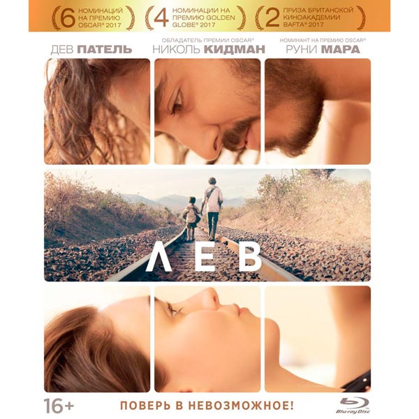 Blu-ray диск . Лев фото