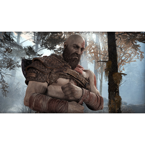PS4 игра Sony God of War Day One Edition
