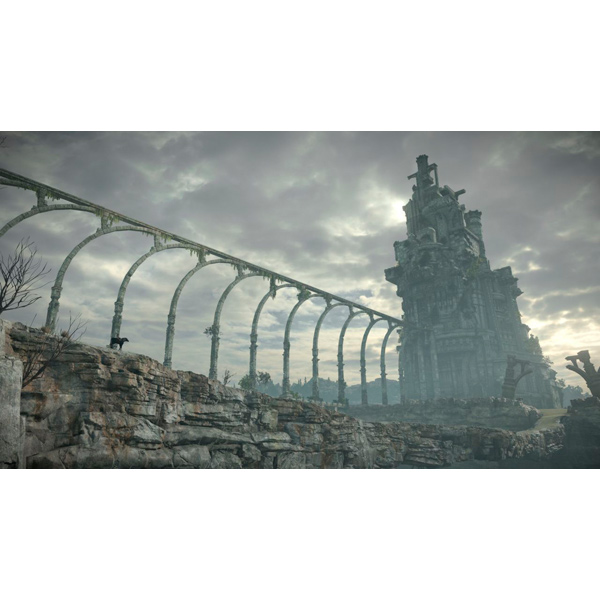 PS4 игра Sony Shadow of the Colossus. В тени колосса