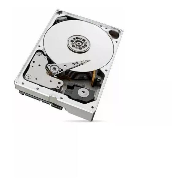 Внутренний диск HDD Seagate ST10000VN000