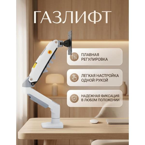 Кронштейн для монитора NB F80-XE