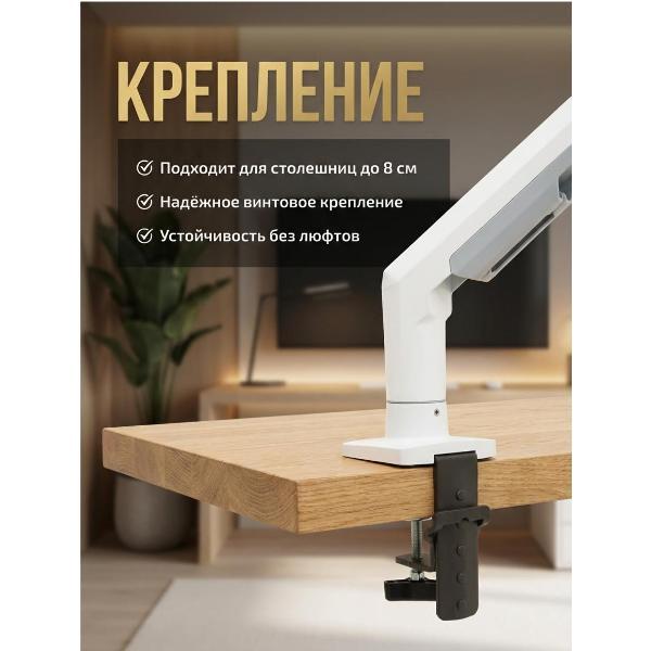 Кронштейн для монитора NB F80-XE