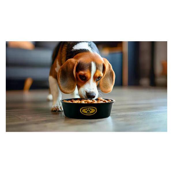 Миска для животных УЮТ АМАЛ1650 черная