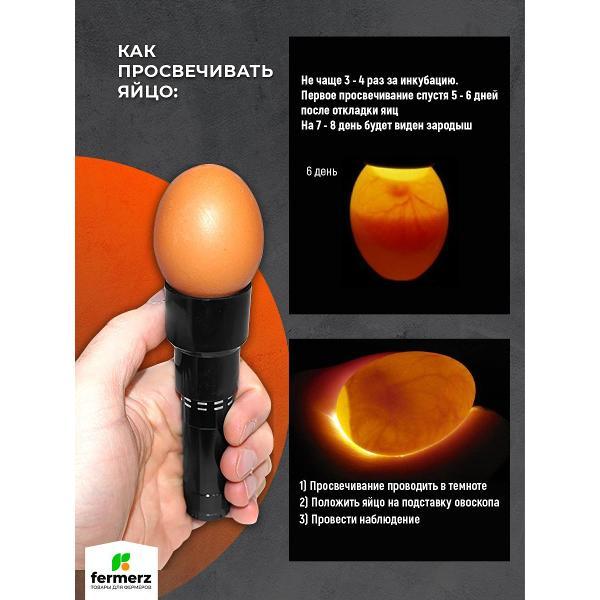 Овоскоп FERMERZ OVO2 черный