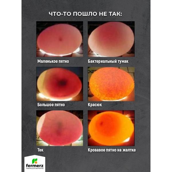 Овоскоп FERMERZ OVO2 черный