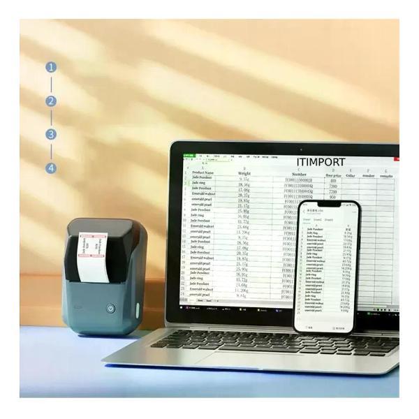 Принтер для печати наклеек NIIMBOT B1