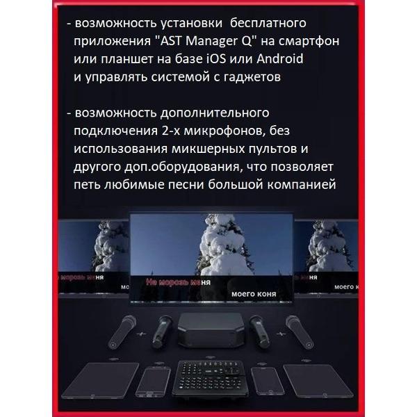 Караоке-система AST ZOOM2